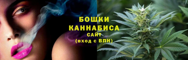соль ск Богданович