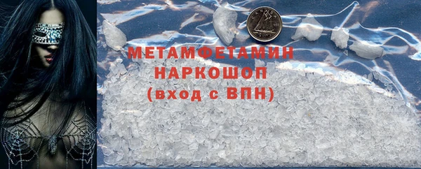 шишки Белая Холуница