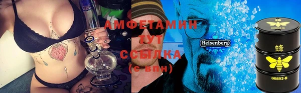 соль ск Богданович