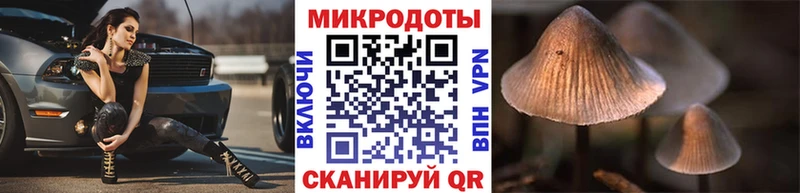 как найти наркотики  Валдай  ОМГ ОМГ как зайти  Галлюциногенные грибы Psilocybine cubensis 